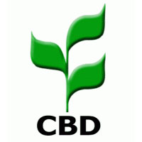 cbd